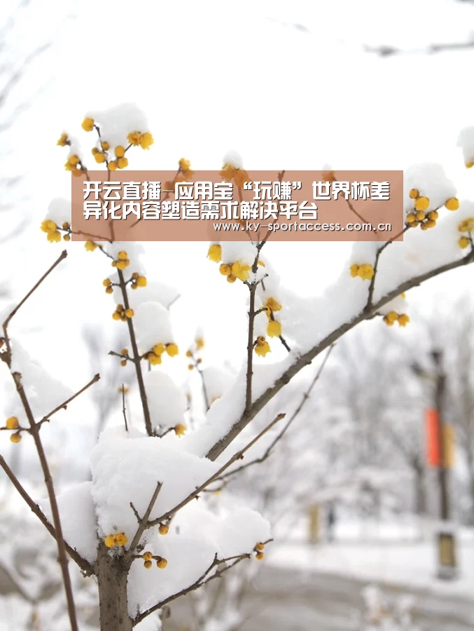 开云直播-应用宝“玩赚”世界杯差异化内容塑造需求解决平台(图1) 开云体育官网