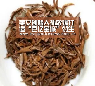 美女创始人孙敬媛打造“巨亿星城”衍生品授权交易平台独角兽【开云体育官网】(图2) 开云体育数据中心