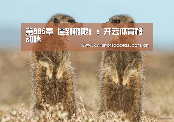 第885章 逼到极限!:开云体育移动端(图2) 开云体育官网