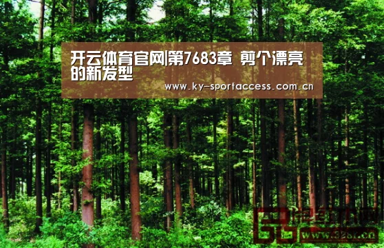 开云体育移动端
